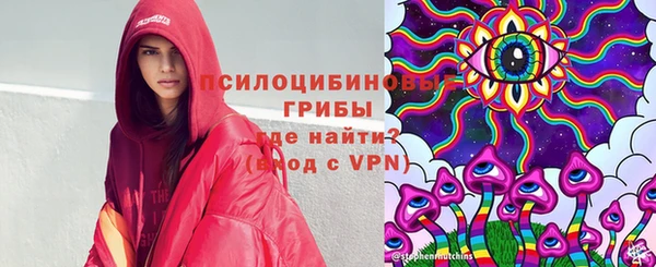 крисы Липки