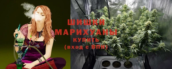соль ск Ладушкин