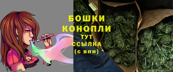 дурь Лабытнанги