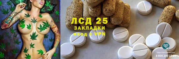 соль ск Ладушкин