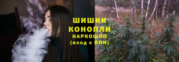 соль ск Ладушкин