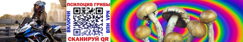 Галлюциногенные грибы ЛСД  Купить где  Вилючинск 